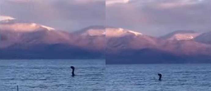 Το Τέρας του Λοχ Νες εθεάθη στη Μεγάλη Πρέσπα! (βίντεο)