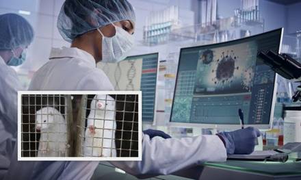 ΙΙΒΕΑΑ: Μεταλλαγμένα στελέχη από μινκ εντοπίστηκαν σε 120 κατοίκους της Δυτικής Μακεδονίας