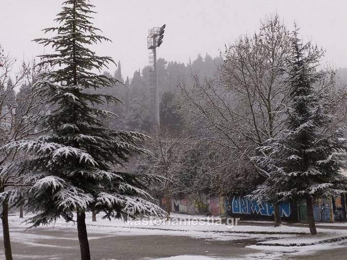 H “Mήδεια” έφτασε στην Καστοριά με άγριες διαθέσεις (φώτο)