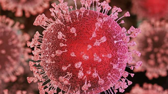 de054f548e224da0a03a16833abef040