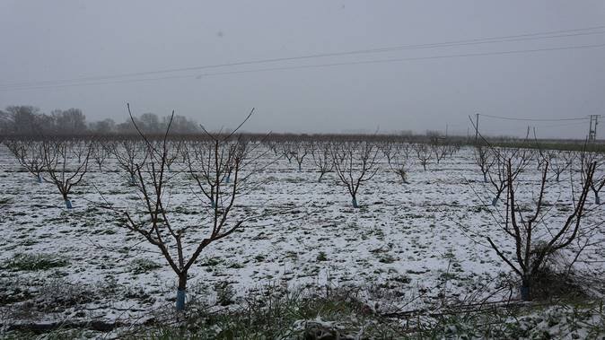 Ο Αγροτικός σύλλογος Καστοριάς «Μακεδνός» ενημερώνει τα μέλη του για τις ζημιές στις δενδροκαλλιέργειες