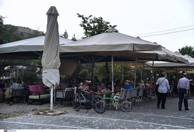 3162135_252863_256061_type13262