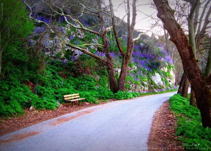 Καστοριά: Διακοπή κυκλοφορίας από την Μαυριώτισσα μέχρι τον Ναυτικό Όμιλο