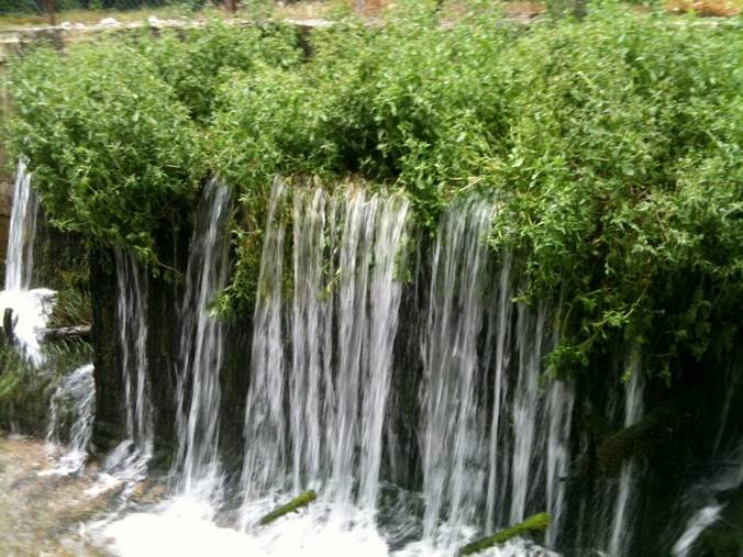 Ζήσης Τζηκαλάγιας: Αυτά πιστεύω για το νερό που πίνουμε