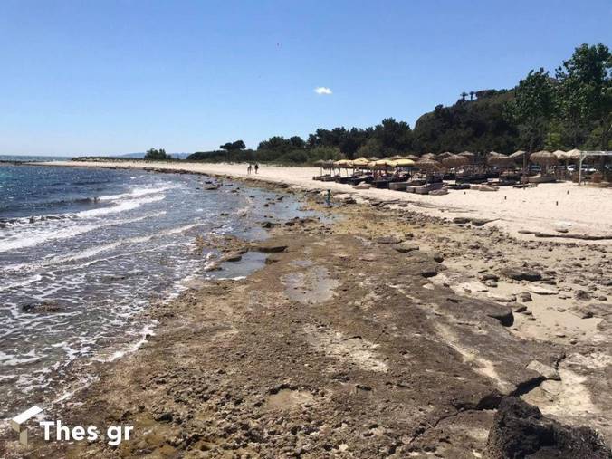 Χαλκιδική: Πήγαν για μπάνιο αλλά η θάλασσα… έλειπε – Επιμένει η άμπωτη