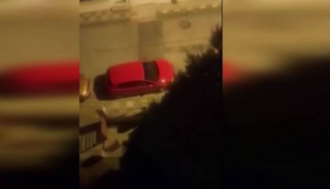 Τι ζητάνε τα μινκ στο “Μαμάτσειο” Νοσοκομείο;