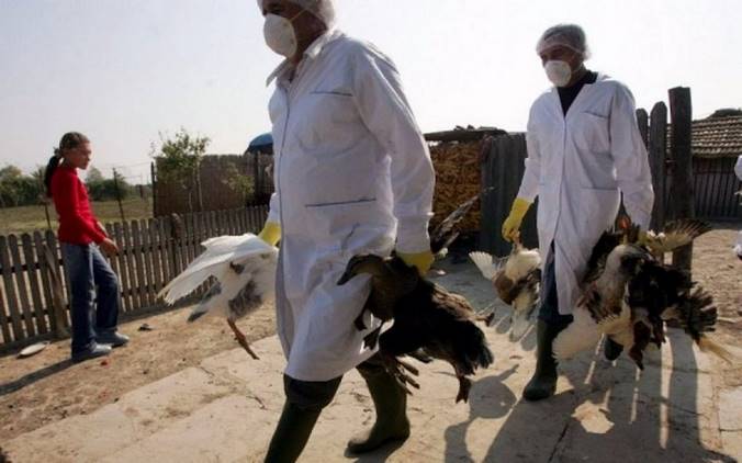 Κίνα: Πρώτο κρούσμα σε άνθρωπο του στελέχους H10N3 της γρίπης των πτηνών, ανέφεραν οι κινεζικές αρχές