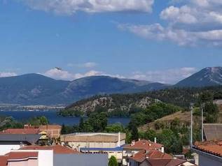 Καστοριά: Μεγάλη πυρκαγιά σε  πευκοδάσος στην Χρυσή