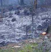 Η “ταυτότητα των εμπρηστών”  του Γράμμου (Του Δημήτρη Ιατρίδη)