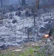 Τέθηκε υπό έλεγχο η πυρκαγιά στην Χρυσή Καστοριάς