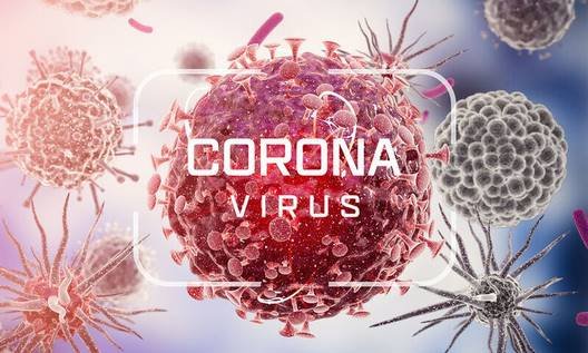 coronavirus3