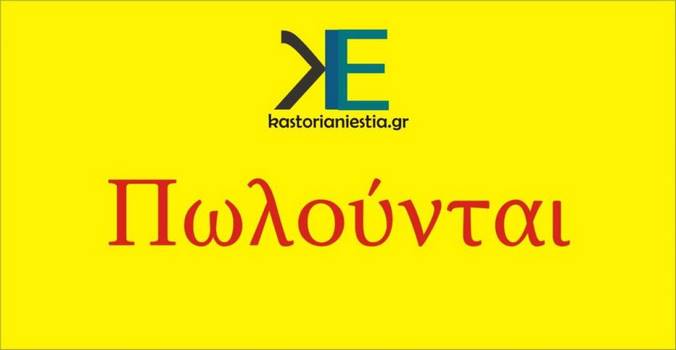 Πωλείται επιχείρηση τροφίμων στο κέντρο της Καστοριάς