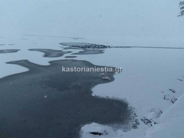 Επικίνδυνα καιρικά φαινόμενα με ισχυρές βροχές και χιόνια προβλέπονται για αύριο στην Δ. Μακεδονία