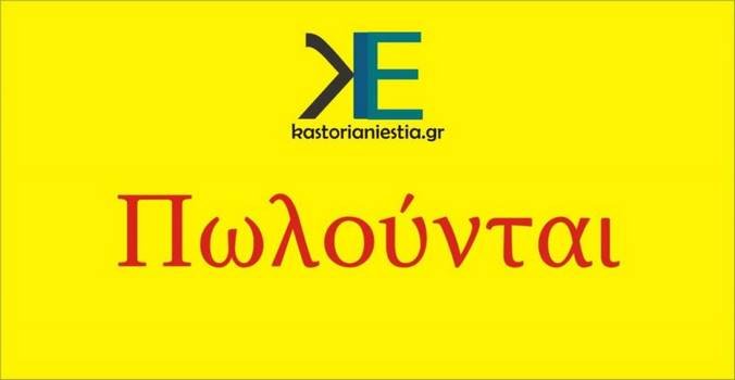 Πωλείται καλλιεργήσιμη έκταση στο Βιτάνι Διαλεχτού Καστοριάς