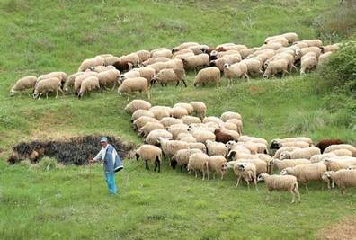 Σεμινάρια του ΕΛΓΟ στο Λιβαδερό και στην Καστοριά για την κτηνοτροφία