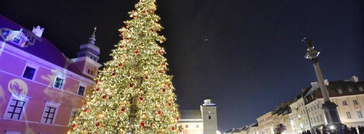 1100_58efd775-50e4-401e-9c4d-df1b4ebbdca4