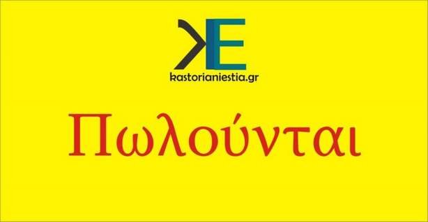 Πωλείται οικία με οικόπεδο στην Κλεισούρα