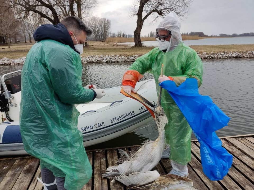 275232952_5242606515750981_4759493912748943057_n