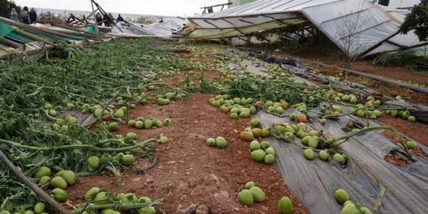 ΕΛΓΑ:  Άνοιξαν οι αιτήσεις για αποζημιώσεις σε γεωργούς από τα καιρικά φαινόμενα