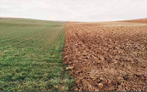 Για παγκόσμια επισιτιστική κρίση λόγω λιπασμάτων κάνει λόγο Ρώσος μεγιστάνας