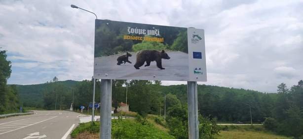 Γκρίζες Ζώνες: Τροχονόμοι για… αρκούδες!
