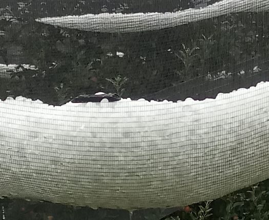 Σφοδρή χαλαζόπτωση στην Πολυκάρπη – Μεγάλη καταστροφή