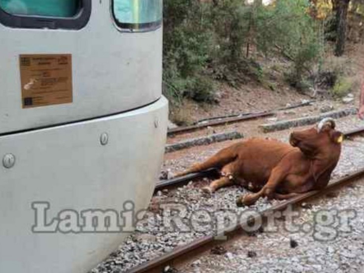 lamia-agelada-treno (1)