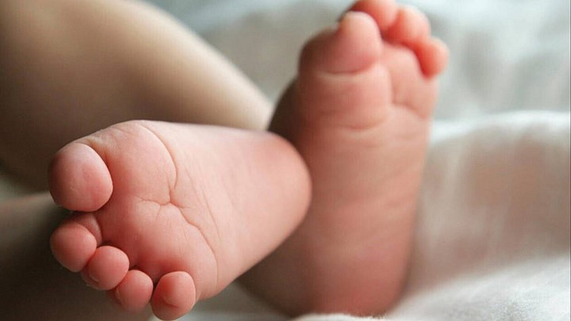 moro-252863-171771-type13262_252863_337060_type13262