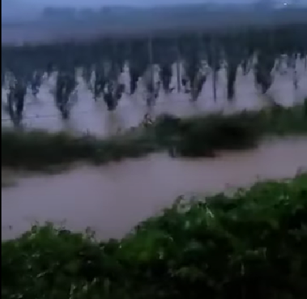 Τι ισχύει για την Δ.Ε. Αγίων Αναργύρων με απόφαση που κηρύχθηκε σε Κατάσταση Έκτακτης  Ανάγκης Πολιτικής Προστασίας