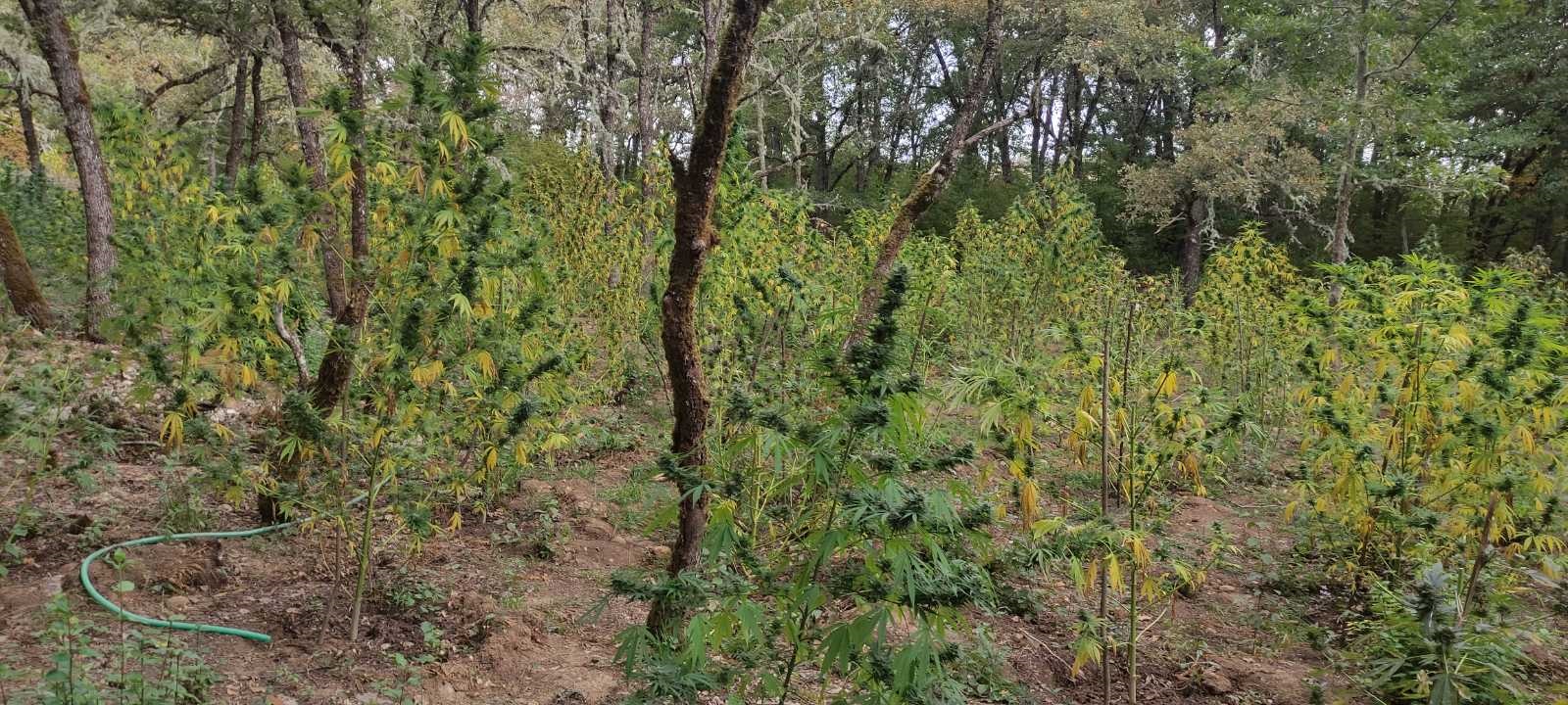 1η ΦΩΤΟΓΡΑΦΙΑ (004)