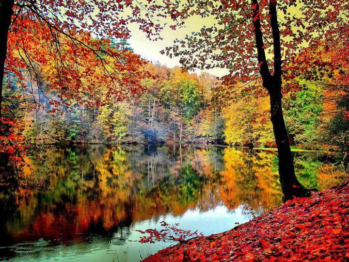 Φθινοπωρινή ραψωδία (Tου Δημήτρη Ιατρίδη)