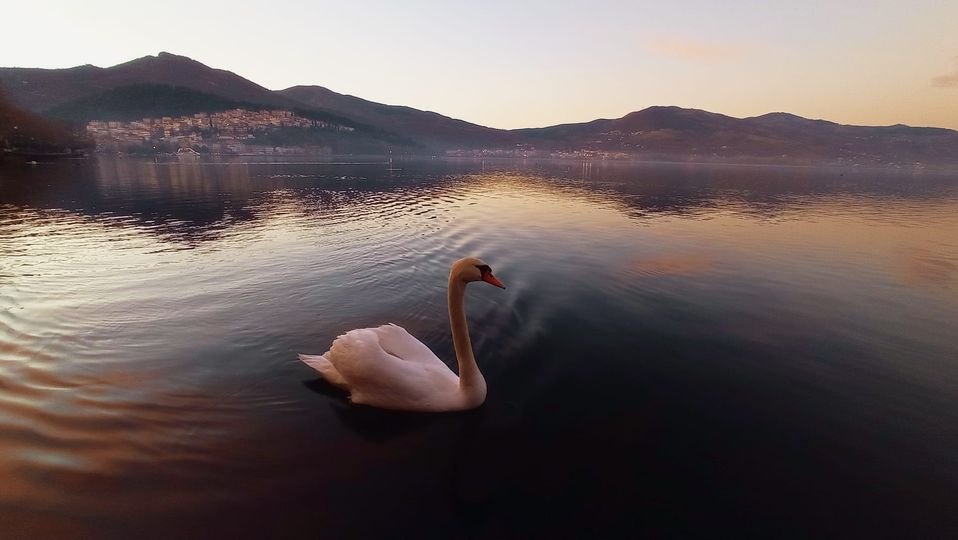 Πρόγραμμα Πολιτιστικού Εξωραϊστικού Συλλόγου “Το Απόζαρι” για τις ημέρες του 12ημέρου των γιορτών