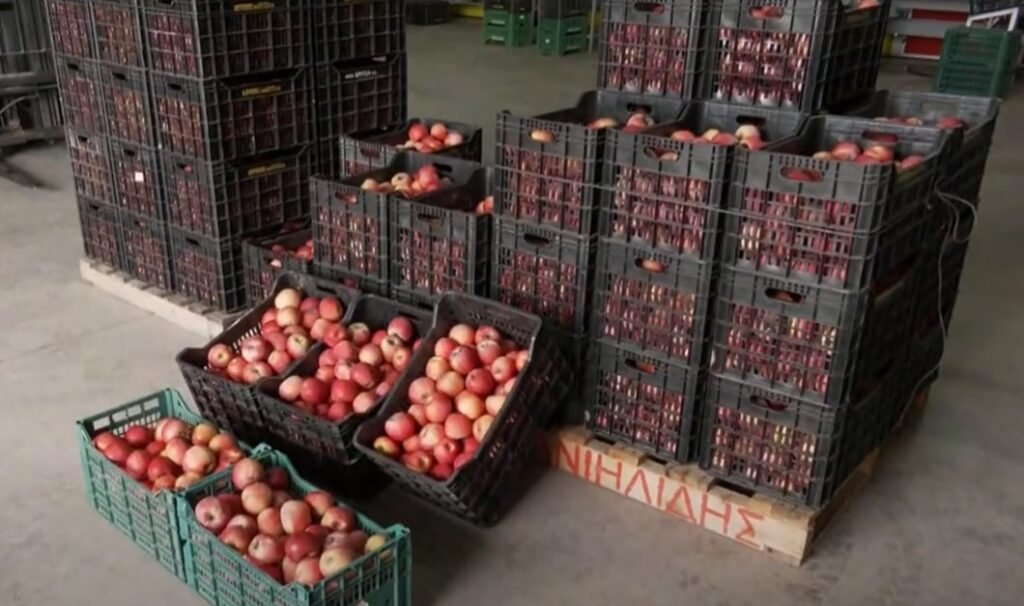 Συντονισμένες κινητοποιήσεις στις 15 Νοεμβρίου αποφάσισαν οι Μηλοπαραγωγοί όλης της χώρας