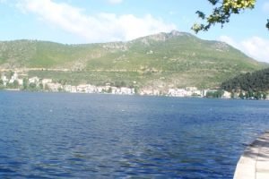 Διεξαγωγή Αγώνων Αθλητικής- Ερασιτεχνικής Αλιείας Κυπρίνου  (Γριβαδιού) στην λίμνη Ορεστιάδα (18-20 Νοεμβρίου 2022)