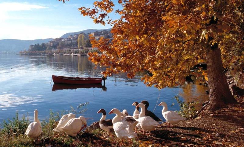 Καιρός: Παραμονή Πρωτοχρονιάς με ηλιοφάνεια και άνοδο θερμοκρασίας