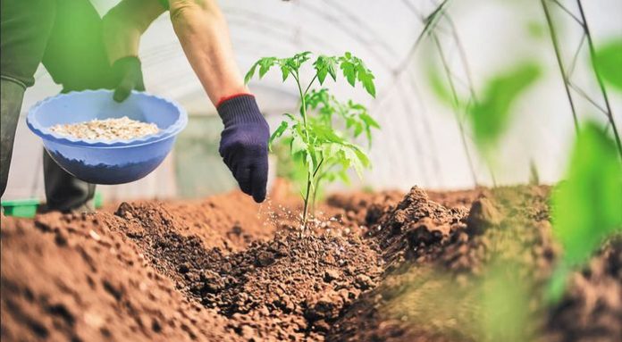 Τις επόμενες ημέρες η πληρωμή   της ενίσχυσης για τα λιπάσματα