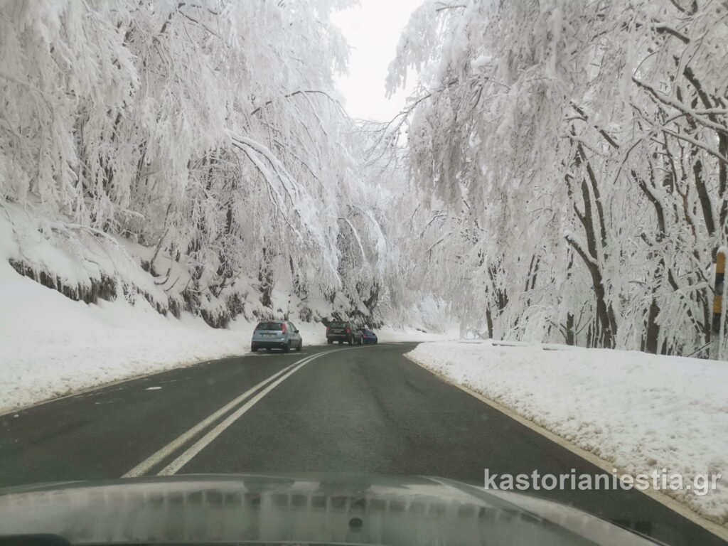 Αλπικά τοπία στην διαδρομή Καστοριά – Φλώρινα