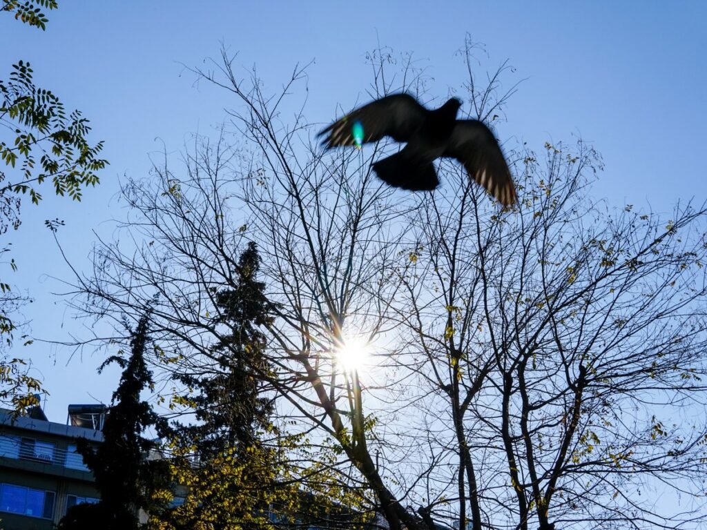 Meteo: Ρεκόρ 10ετίας στις ελάχιστες θερμοκρασίες – Έως και 15 βαθμούς υψηλότερες