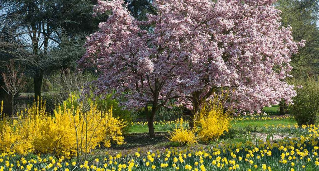 Εαρινή Ισημερία 2023: Μπήκε κι επίσημα η Άνοιξη, πότε φτάνει η μέρα στο «ζενίθ» της