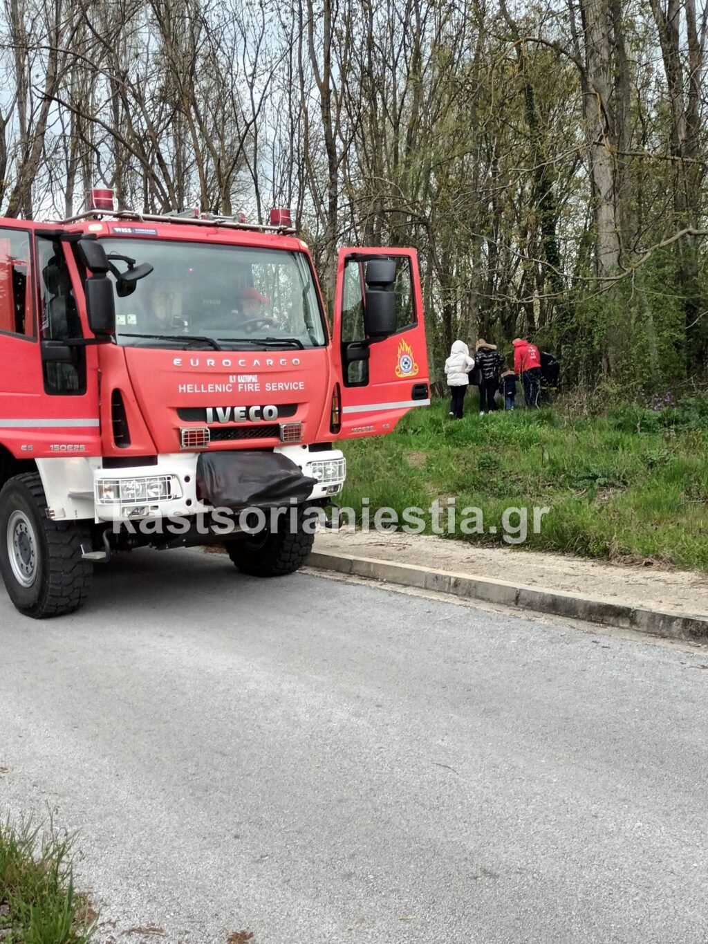 Καστοριά: Έριξε την στάχτη του οβελία στο παραλίμνιο δάσος και προκάλεσε πυρκαγιά