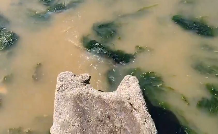 Γέμισε λύματα ο Θερμαϊκός: Σοκαριστικές εικόνες και απίστευτη δυσοσμία