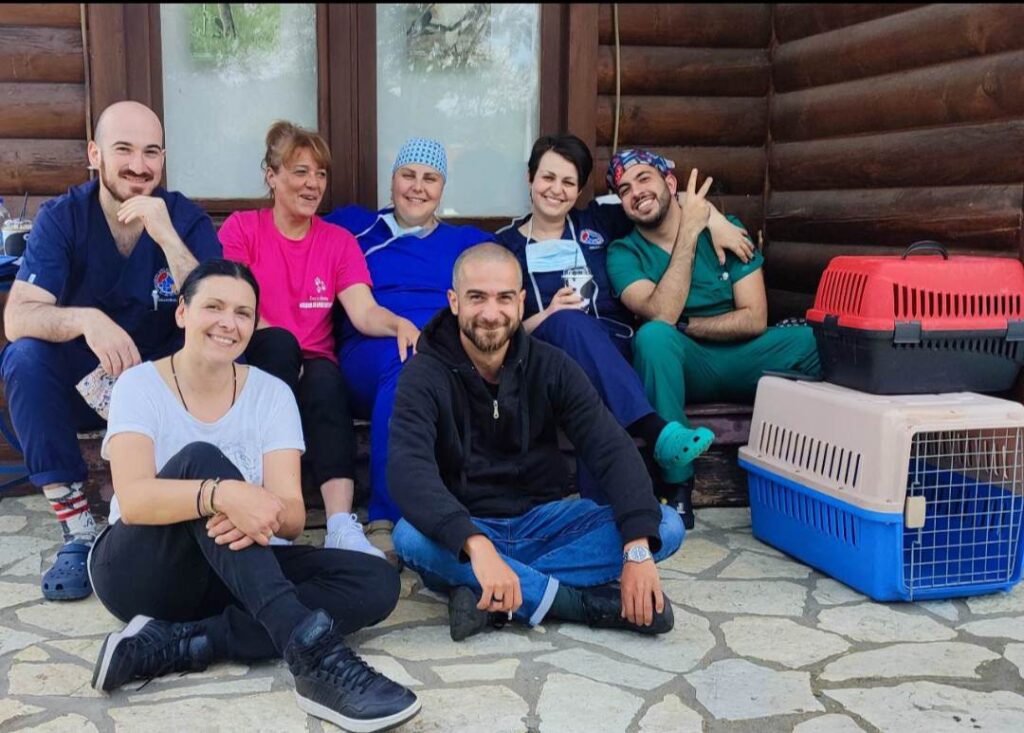 Εμβολιασμοί και στειρώσεις σε αδέσποτες γάτες από τον Δήμο Καστοριάς και την Εθελοντική Δράση Κτηνιάτρων Ελλάδας