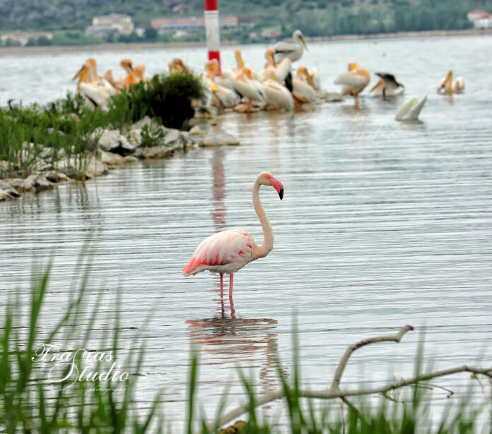 346940854_170222649334243_1030563989340523204_n