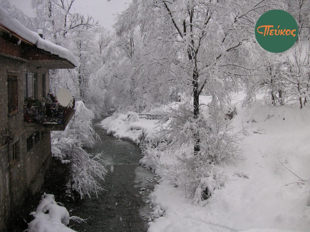 Ο Σύλλογος Πευκιοτών η Αγία Παρασκευή αναζητά ενδιαφερόμενο να αναλάβει το καφενείο του χωριού.