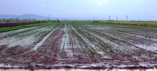Ανακοίνωση του ΚΚΕ Καστοριάς για τις ζημιές στις καλλιέργειες