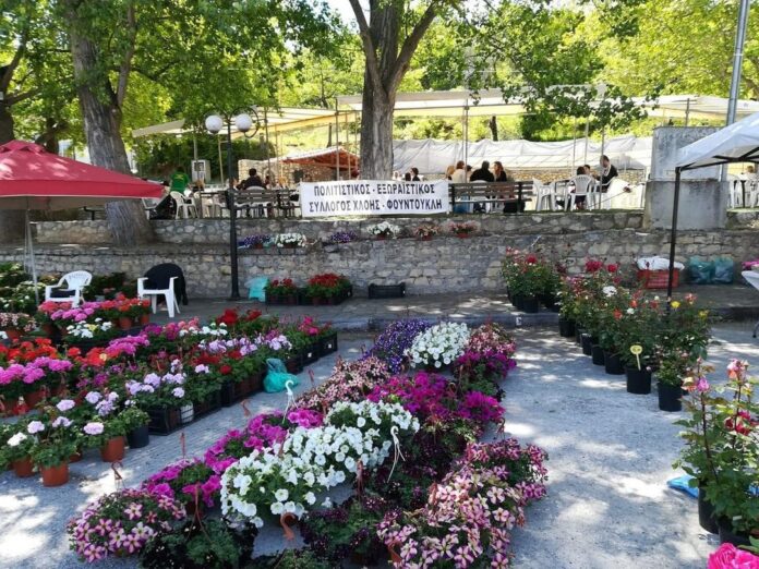 347567031_255134307129718_3245170726833268083_n