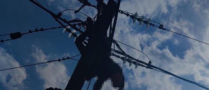 1100_bd39d32b-0dbb-4b39-920f-969d5b5eb2c1