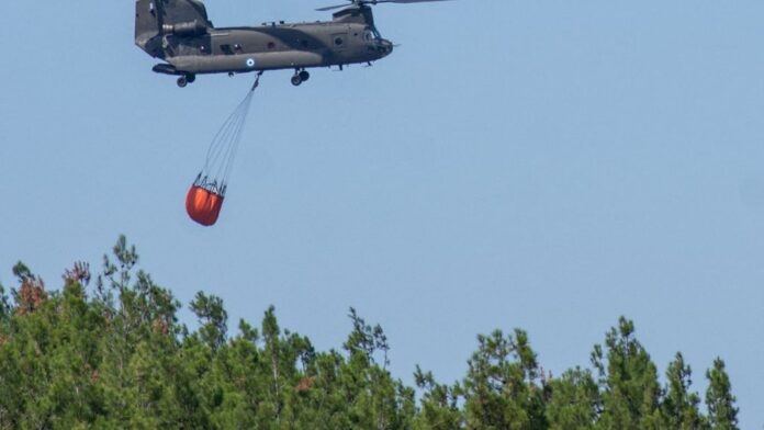 530a23a8e4c14f36b1dbd0edef89f95c