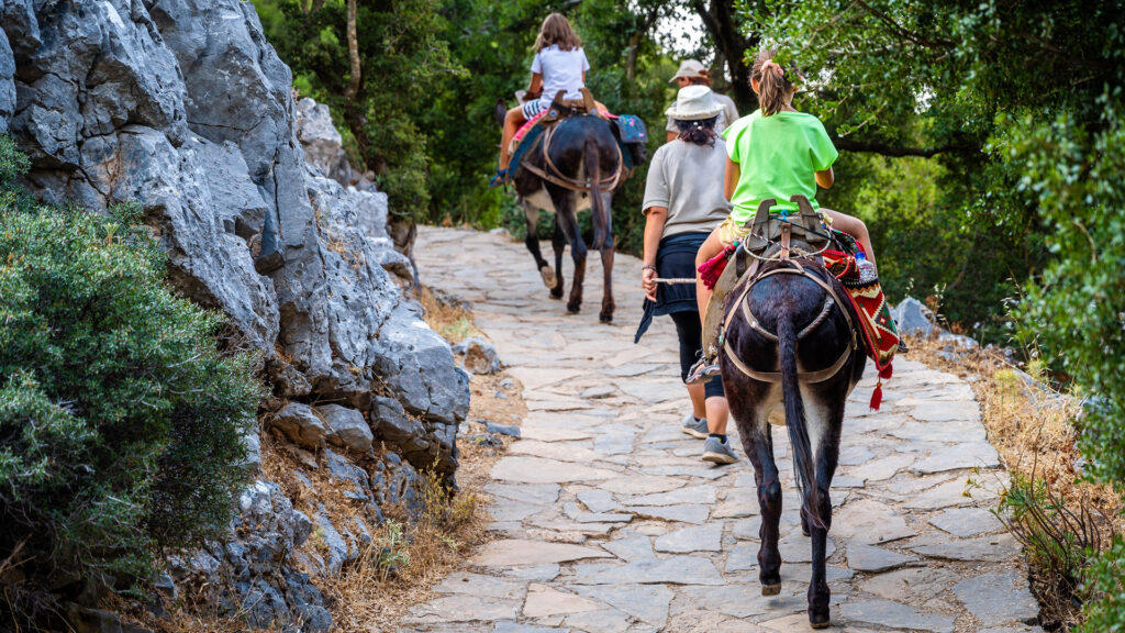Τι δουλειά έχει ο τουρίστας στη ράχη του γαϊδάρου;