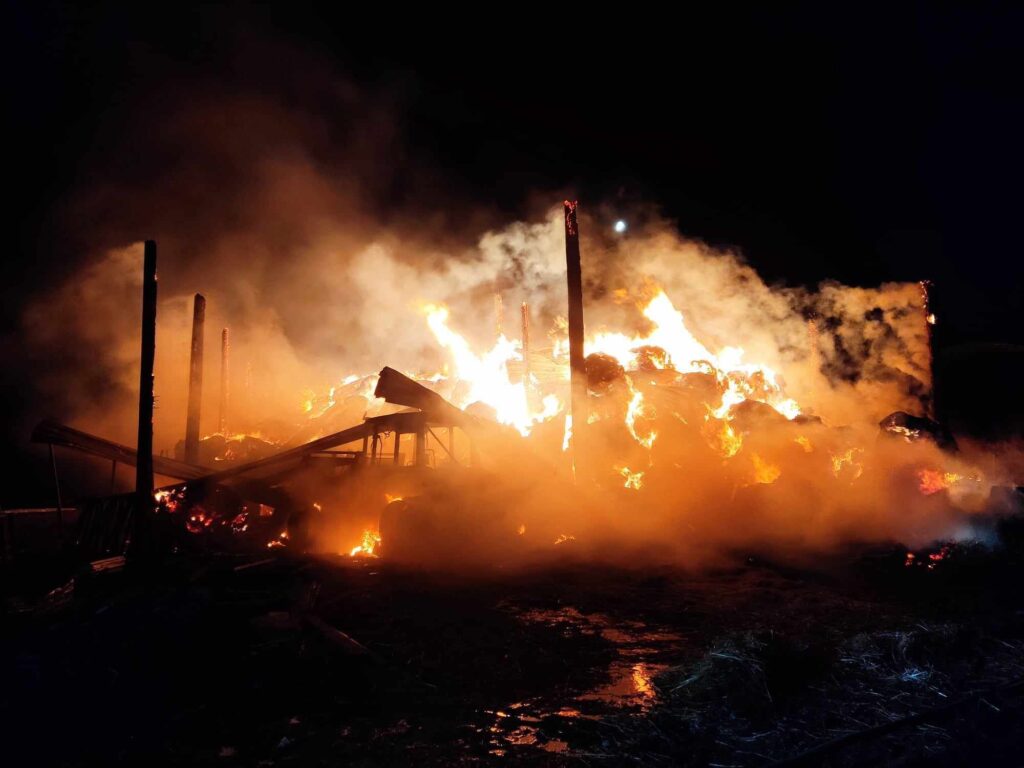 Επιμελητήριο Καστοριάς: Έκκληση για βοήθεια του κτηνοτρόφου Δημήτρη Νικολαϊδη